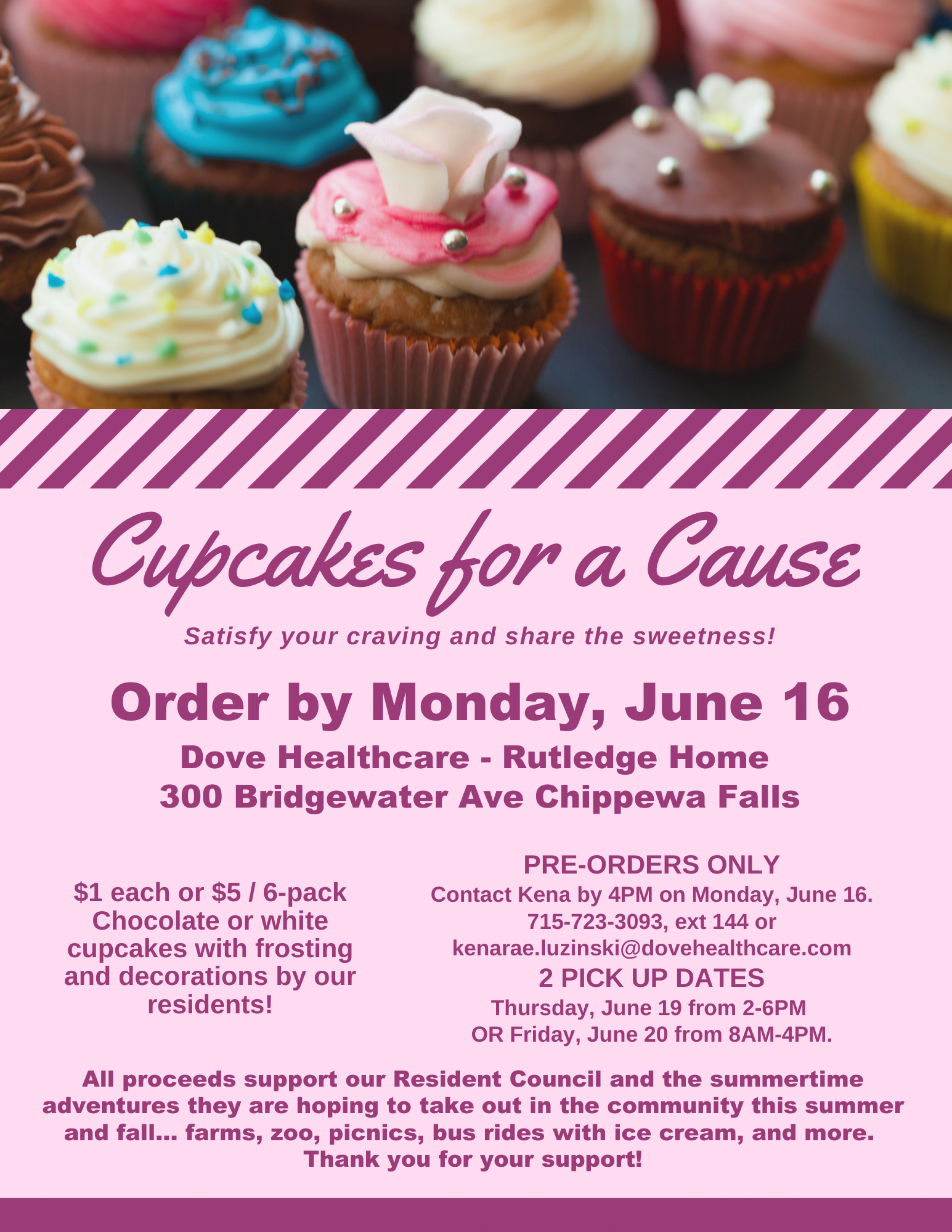 Cupcakes for a Cause in Chippewa Falls